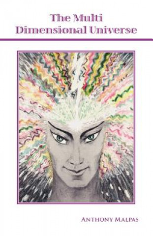 Multi Dimensional Universe