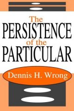 Persistence of the Particular