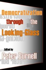 Democratization through the Looking-Glass