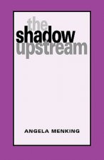 Shadow Upstream