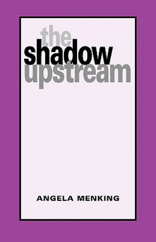 Shadow Upstream