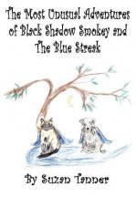 Most Unusual Adventures of Black Shadow Smokey and The Blue Streak