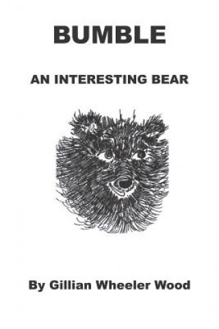 Bumble an Interesting Bear