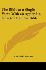 Bible at a Single View, With an Appendix; How to Read the Bible