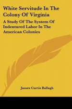 White Servitude In The Colony Of Virginia