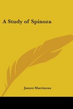Study Of Spinoza
