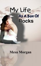My Life As A Box Of Rocks