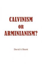 Calvinism or Arminianism?