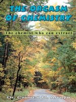 Orgasm of Chemistry