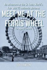 Meet ME at the Ferris Wheel