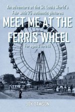 Meet ME at the Ferris Wheel