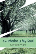 Interior of My Soul