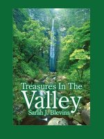 Treasures In The Valley