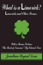 What is a Limerick?