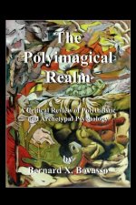 Polyimagical Realm