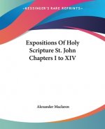 Expositions Of Holy Scripture St. John Chapters I to XIV