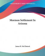 Mormon Settlement In Arizona