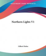 Northern Lights V1