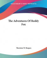 Adventures Of Reddy Fox