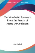 The Wonderful Romance From the French of Pierre De Coulevain