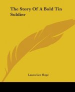 Story Of A Bold Tin Soldier