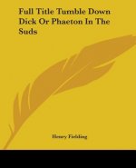 Full Title Tumble Down Dick Or Phaeton In The Suds