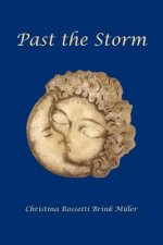 Past the Storm
