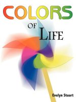 Colors of Life
