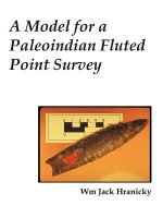 Model for a Paleoindian Fluted Point Survey