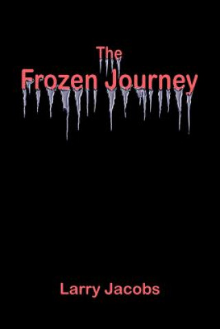 Frozen Journey