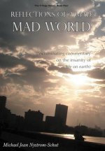 Reflections of a Mad, Mad World