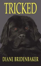 Tricked