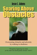 Soaring Above Obstacles