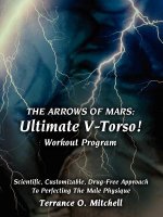Arrows of Mars