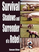 Survival Shadows and Surrender of a Rebel