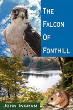 Falcon Of Fonthill