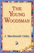 Young Woodsman