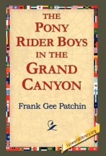 Pony Rider Boys in the Grand Canyon