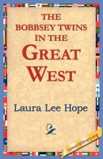 Bobbsey Twins in the Great West
