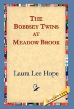 Bobbsey Twins at Meadow Brook