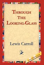 Through the Looking-Glass