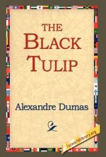 Black Tulip