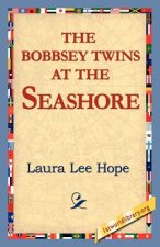 Bobbsey Twins at the Seashore