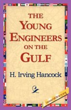 Young Engineers on the Gulf