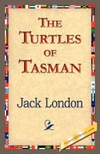 Turtles of Tasman