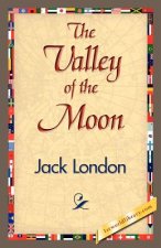 Valley of the Moon