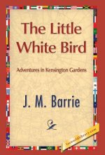 Little White Bird