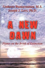 New Dawn