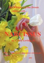 Narcissus