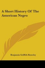 A Short History Of The American Negro